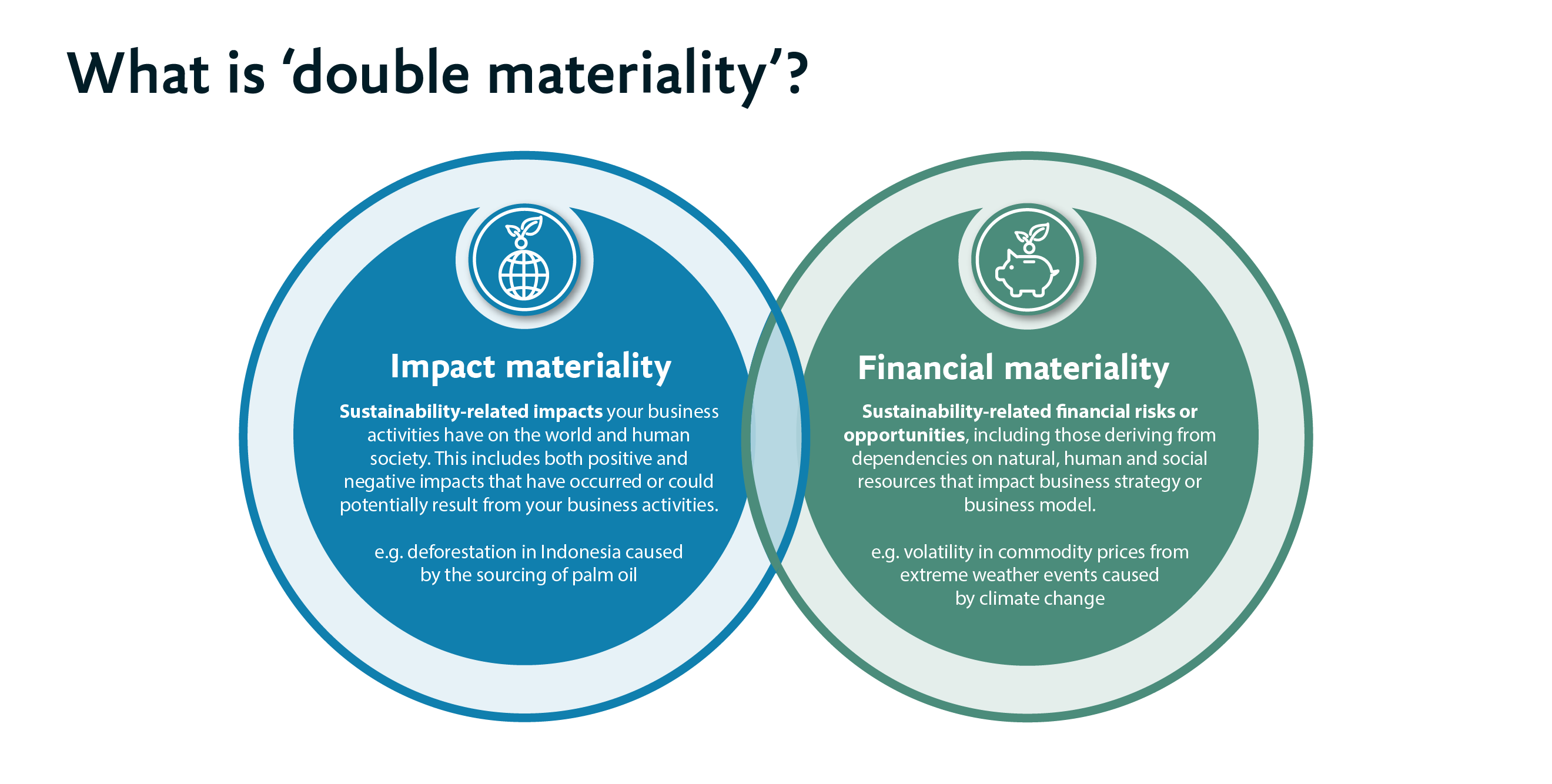 A ven diagram showing the meaning of double materiality.